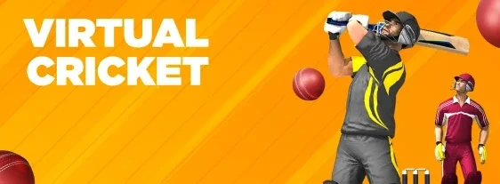 Virtual cricket